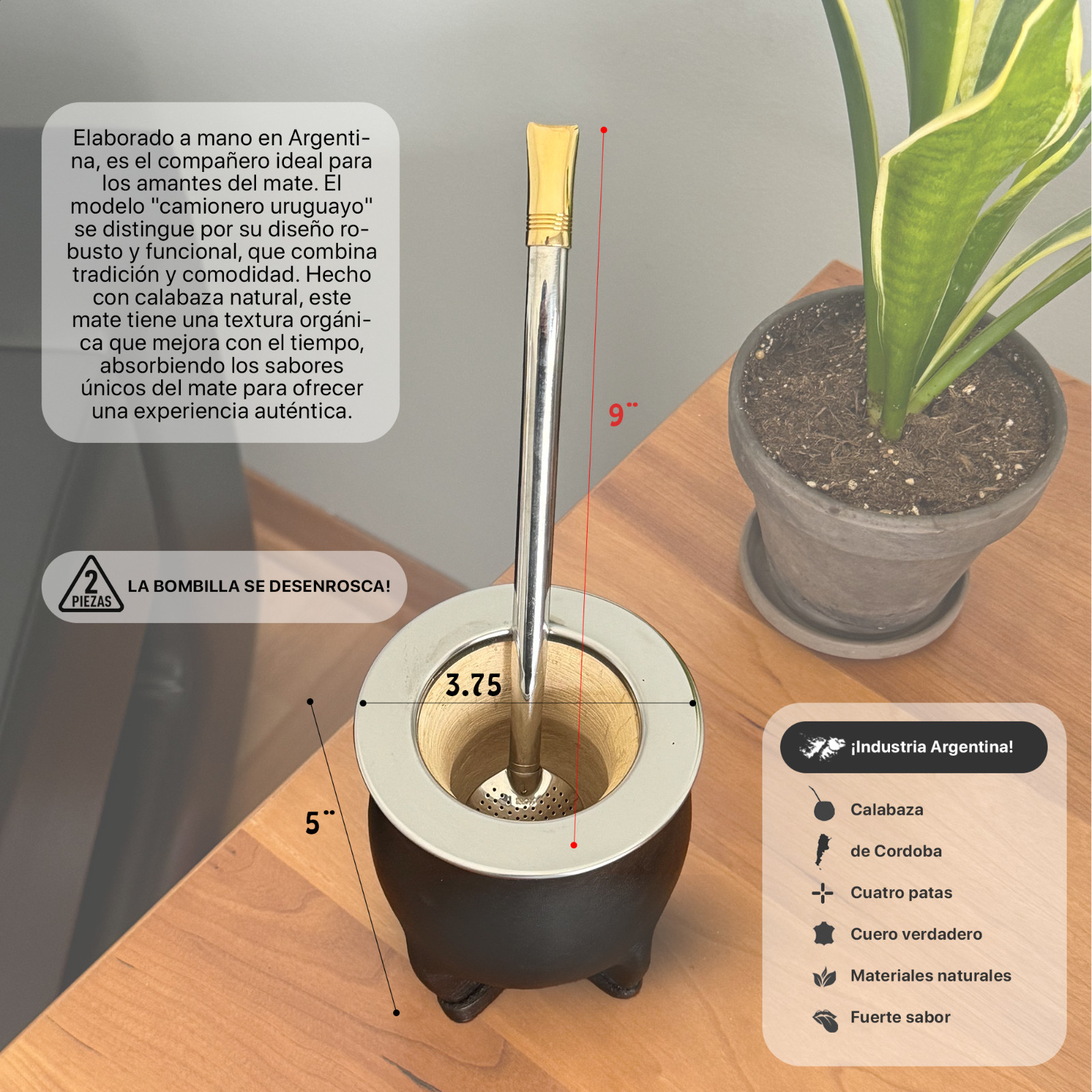 Yerba Mate Set – Mate de Calabaza Gourd – Bombilla – Handcrafted – Argentina