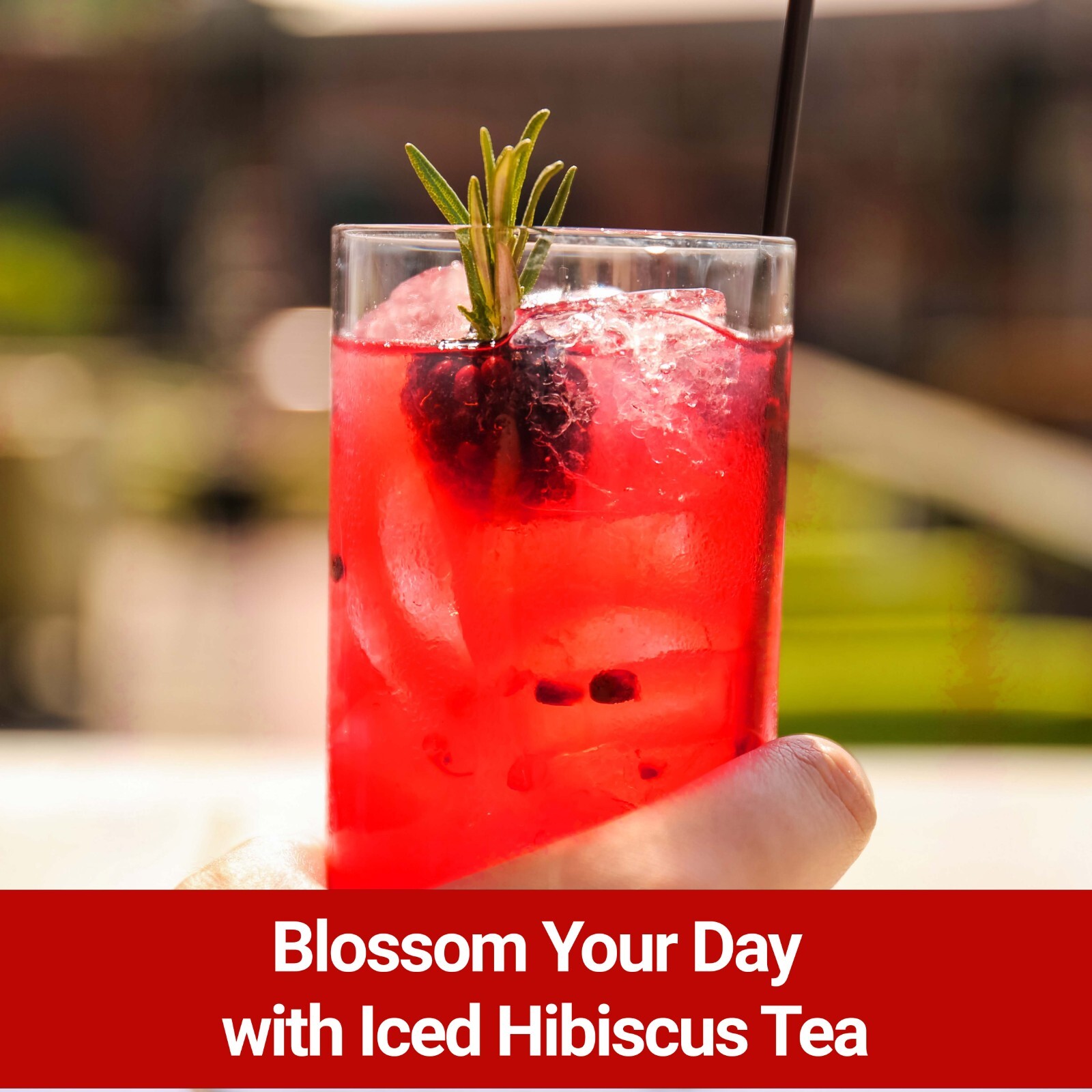 75 Organic Hibiscus Tea Bags Herbal Premium Hibiscus Flower Flor De Jamaica Tea