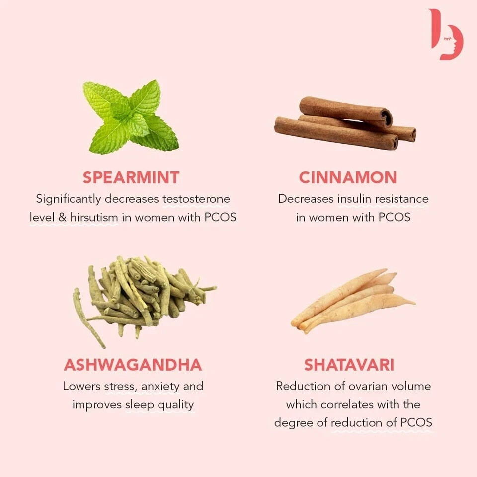 The Basics PCOS Tea For Women Free Shipping World Wide