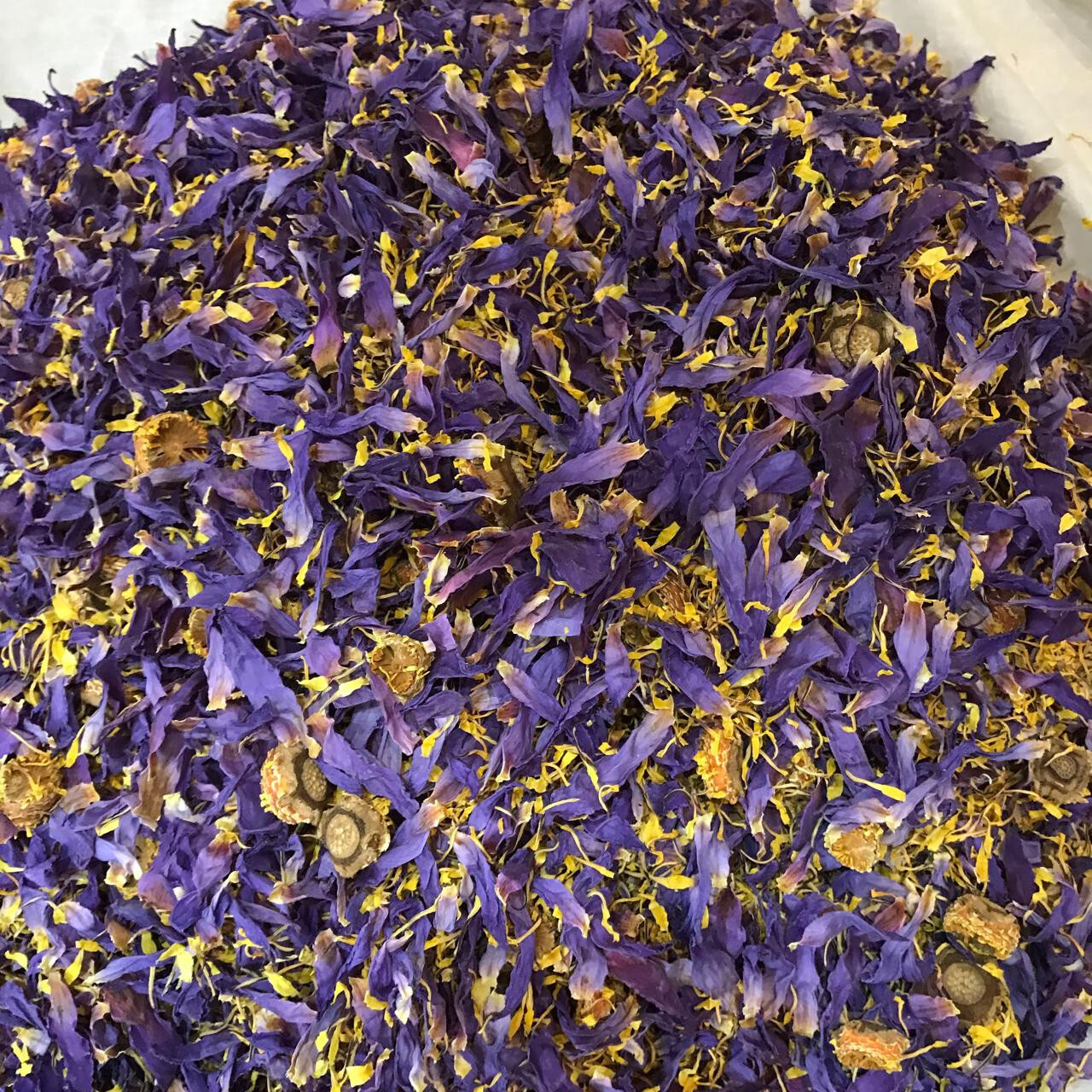 Cut Blue Lotus Dried Flower Nymphaea Caerulea Hand Picked Pure Ceylon Herbal Tea
