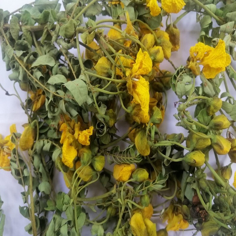 Natural Organic Tanner’s Cassia, Auriculata Avarampoo (Ranawara Mal) Dried 50g