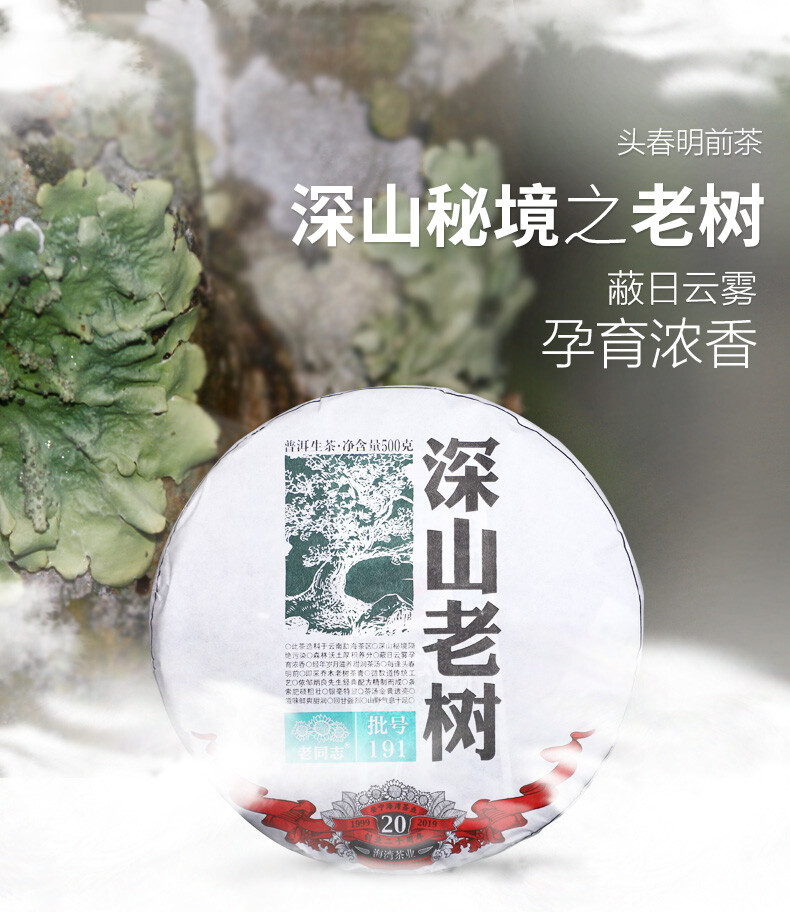 Haiwan Remote Mountain Old Tree Puer Tea Cake 2019 500g Raw Pu-erh Pu’er 191