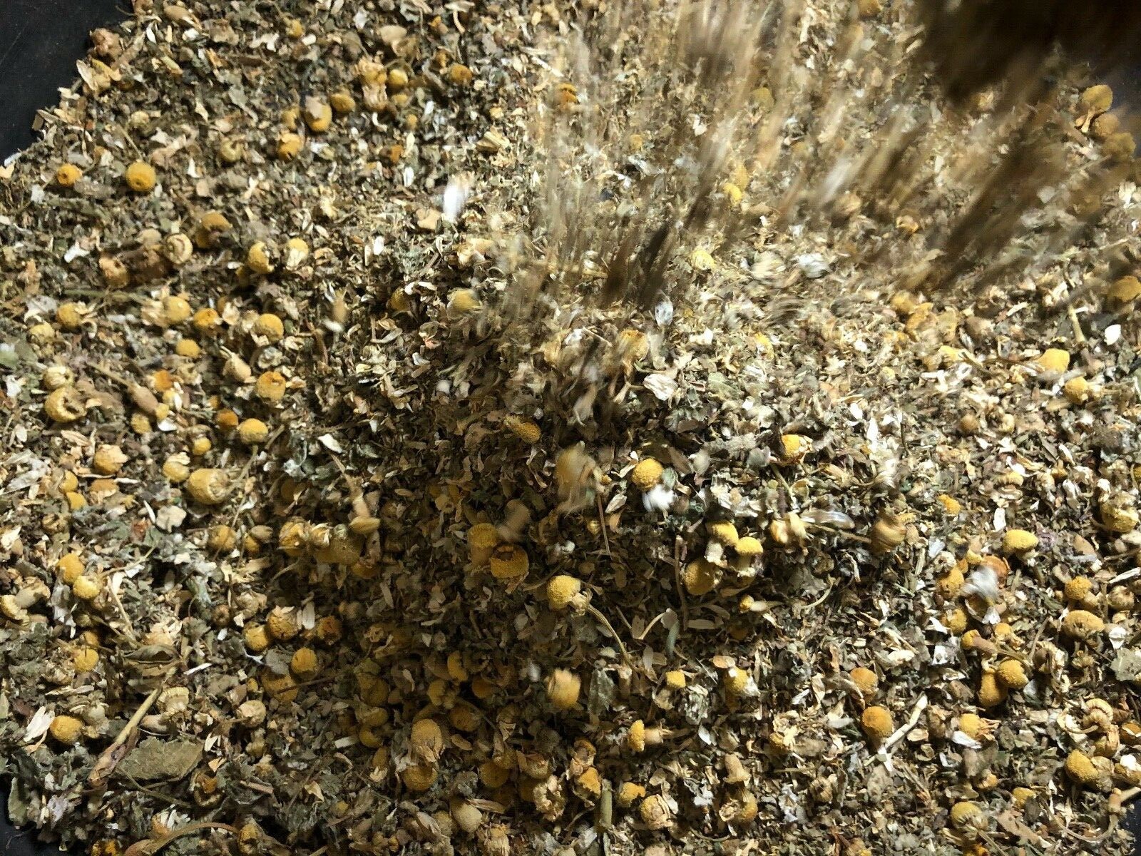 Lomatium Root Osha Marshmallow Mullein – No.29 Herb Mix Chamomile Raspberry Mint