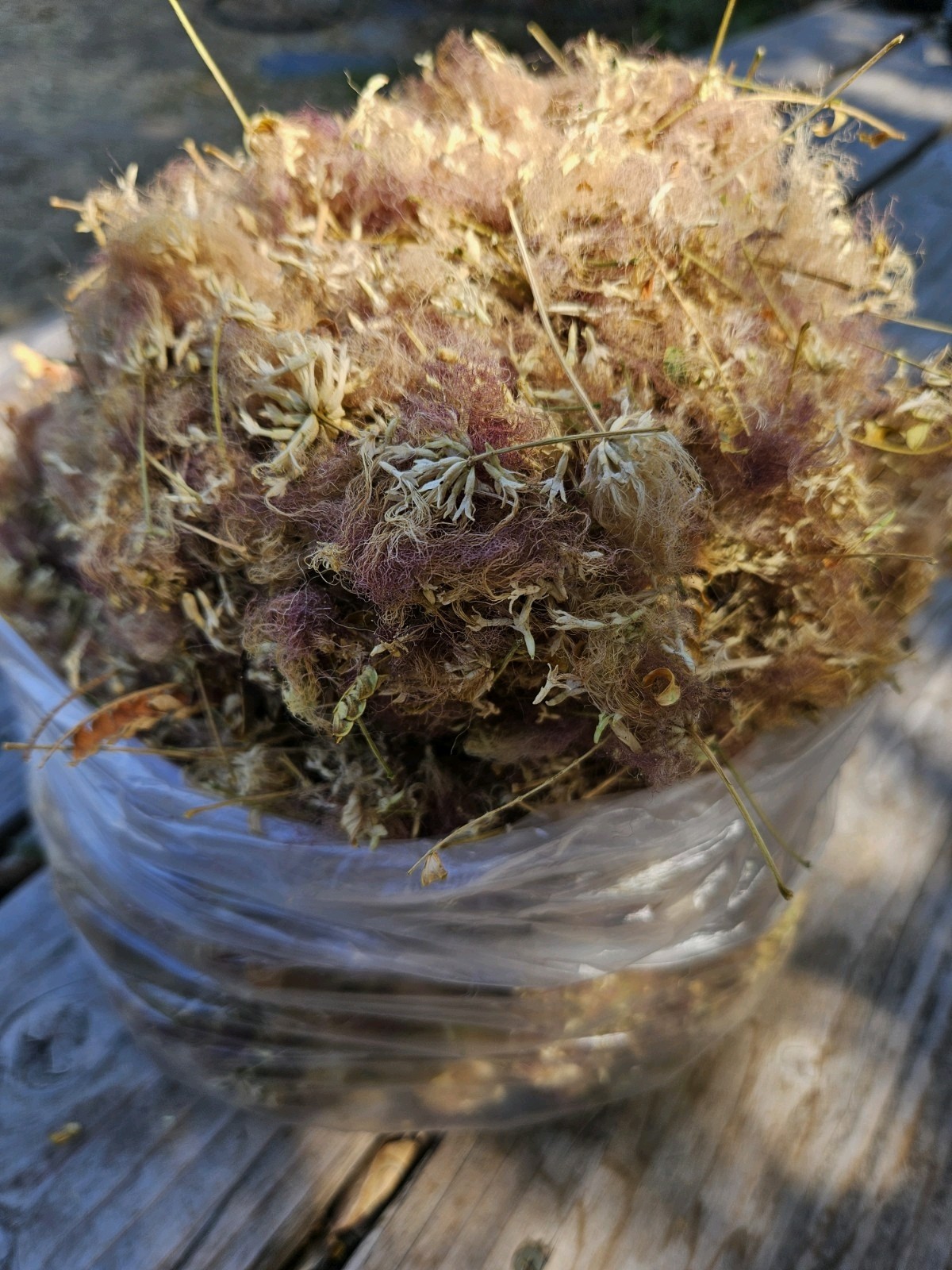 Dried Mimosa Silk Tree Flowers Edible Tea Herb Albizia Julibrissin Calming