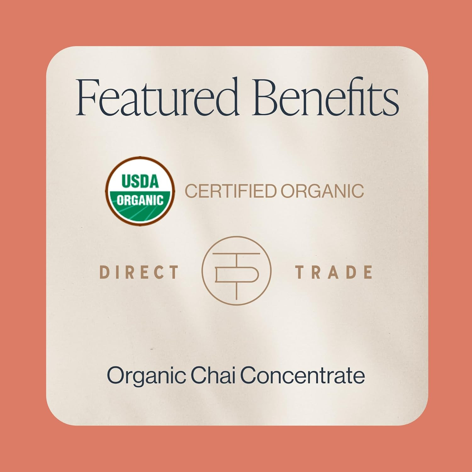 Organic Masala Chai Latte – Easy Hot or Iced Tea Mix, 32 Fl Oz, 12 Pack