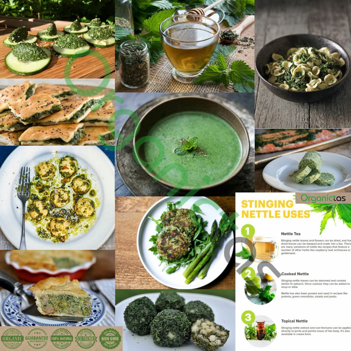 Organic NETTLE LEAF Herbal Tea Dried Cut Urtica Dioica 100g Premium Quality BIO