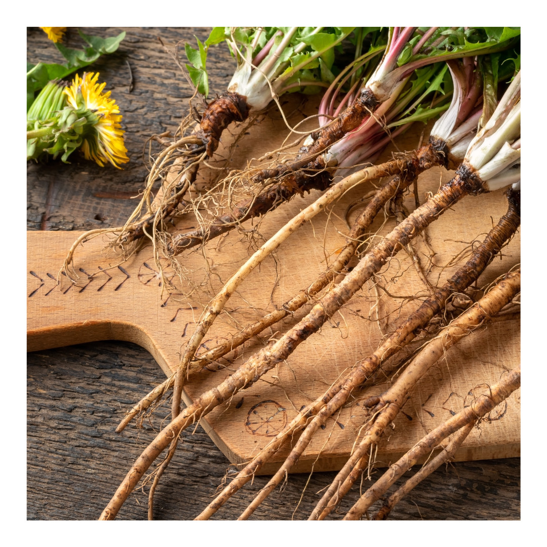 Dandelion Root 100% Pure Organic Dried Cut and Sifted (Taraxacum Officinale)