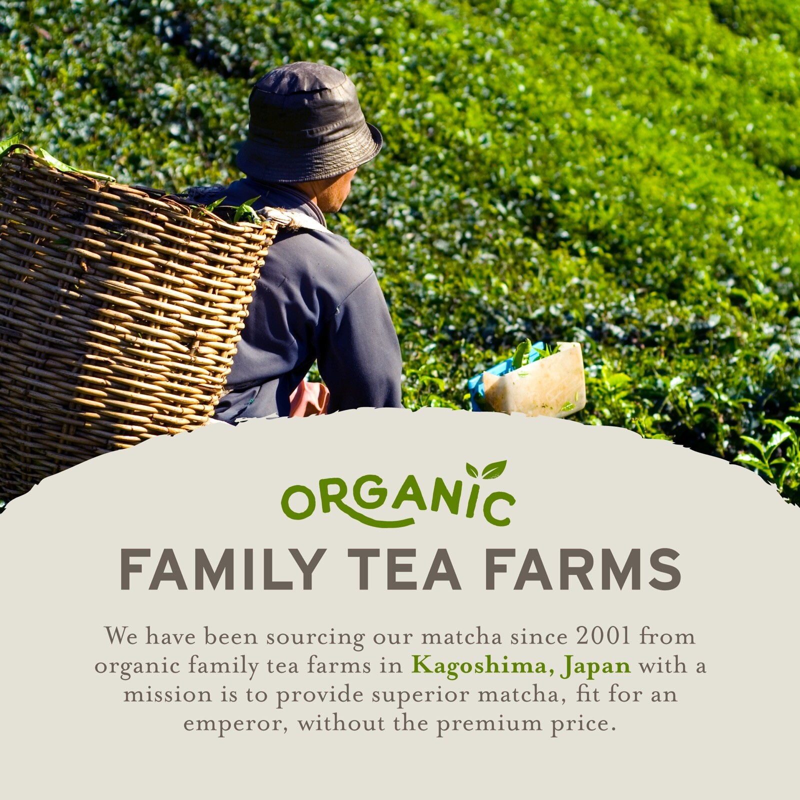 Organic Matcha Green Tea Powder ceremonial Bags Latte Japanese 12 oz Te Verde