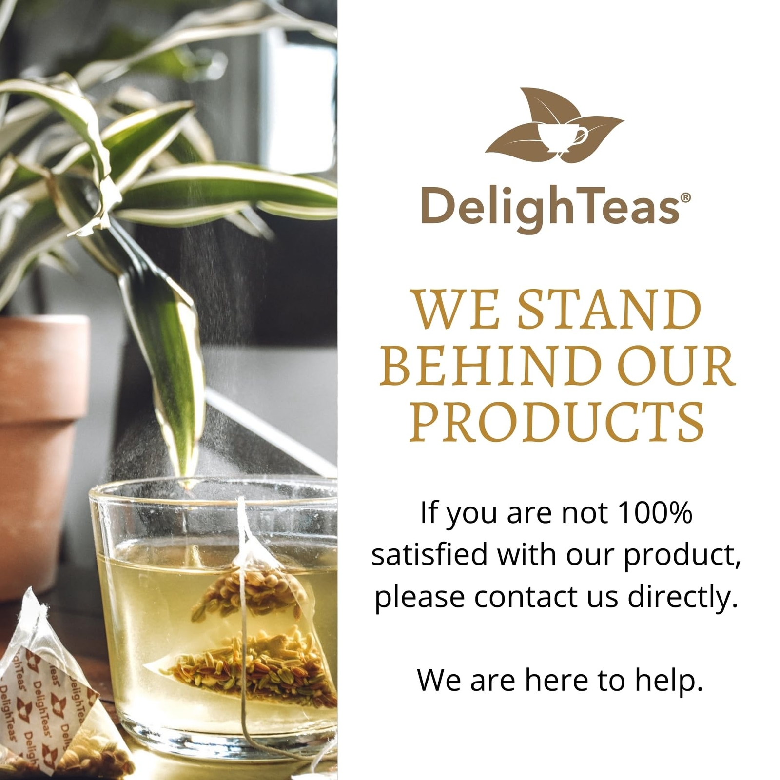 Organic Digest & Detox Ccf Tea | Ecofriendly Compostable Pyramid Tea Bags | Ayur