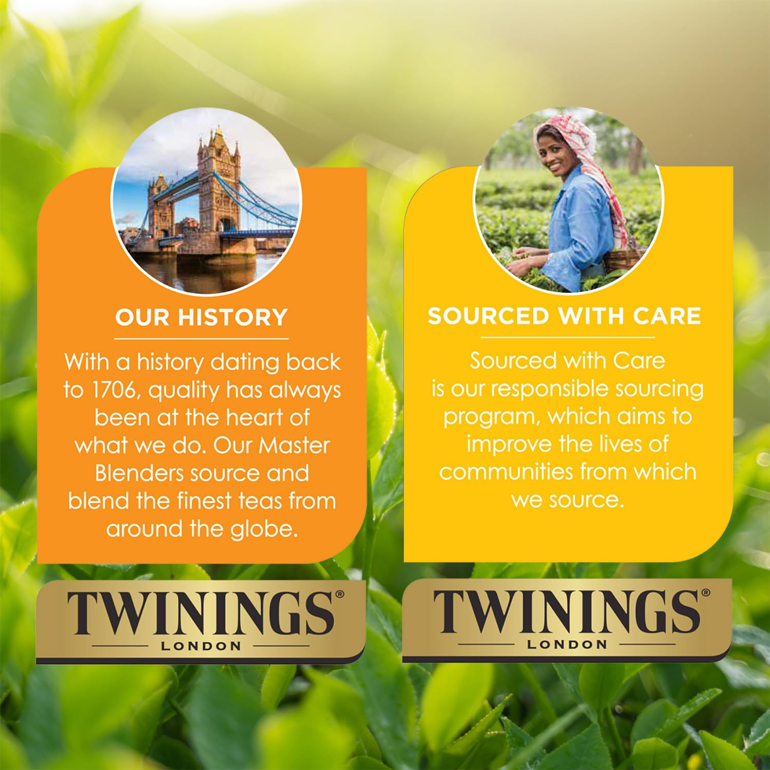 Twinings Lady Grey Black Tea, 20 Bags, 3 Packs, Citrus Flavored