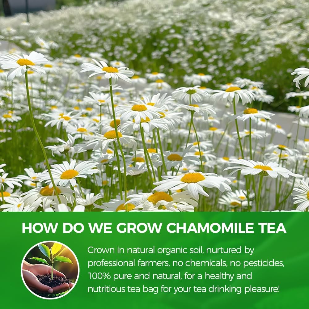 Chamomile Powder 125g（4.4oz） Premium Chamomile Powder Stress Relief & Sleep …