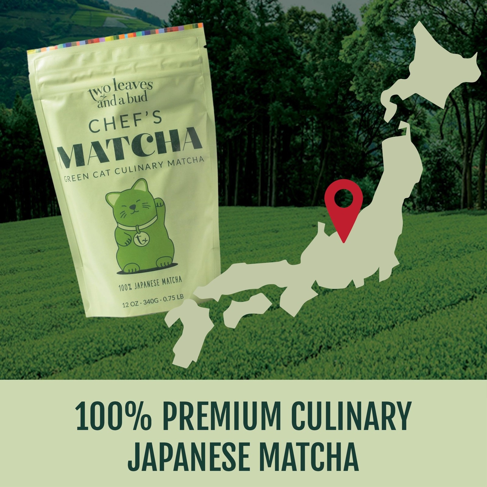Two Leaves and a Bud Chef’s Matcha Green Tea, 100% Japanese Culinary Matcha P…