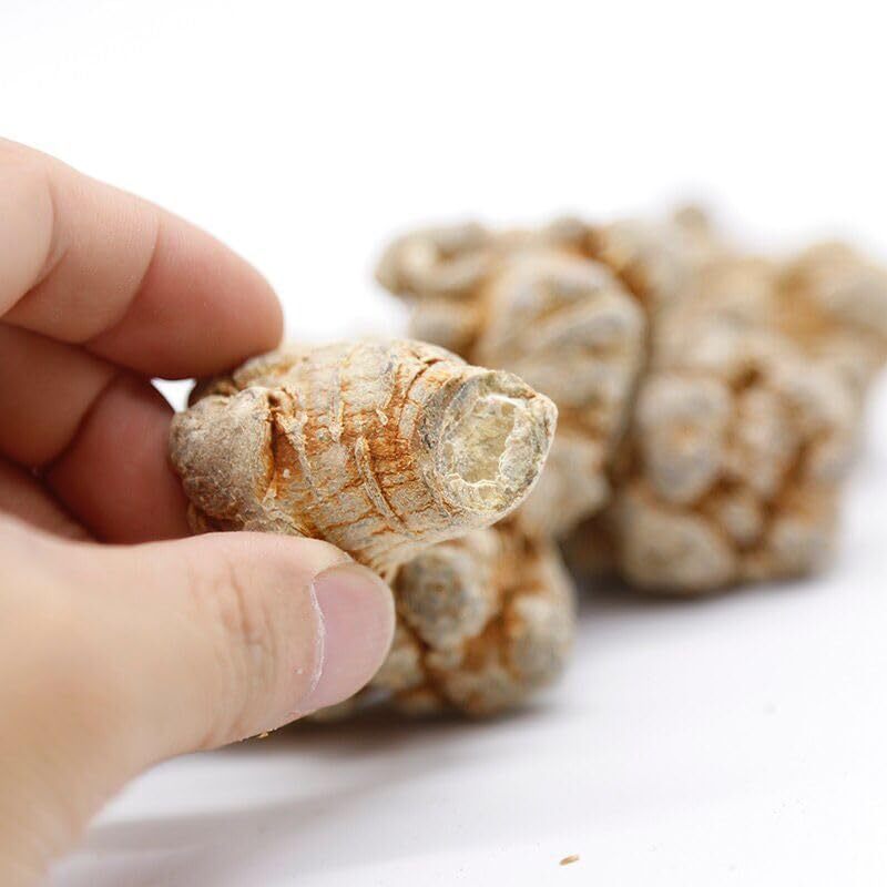 Panax Notoginseng Root Sanqi Yunnan Natural San Qi Tea Radix Tian Qi