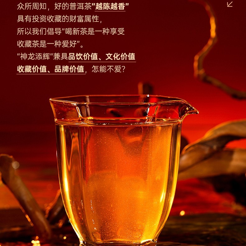 Chen Sheng Hao Year of the Dragon Shenlong Tianhui Raw Pu-Erh Tea 2024 – 357g