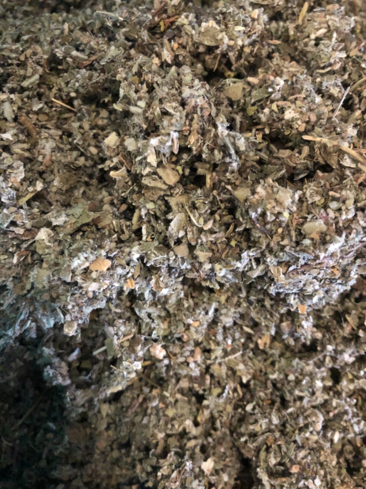 Marshmallow + Mullein + Raspberry Leaf – Quality Organic Herb Tea Mix – 1/2 LB