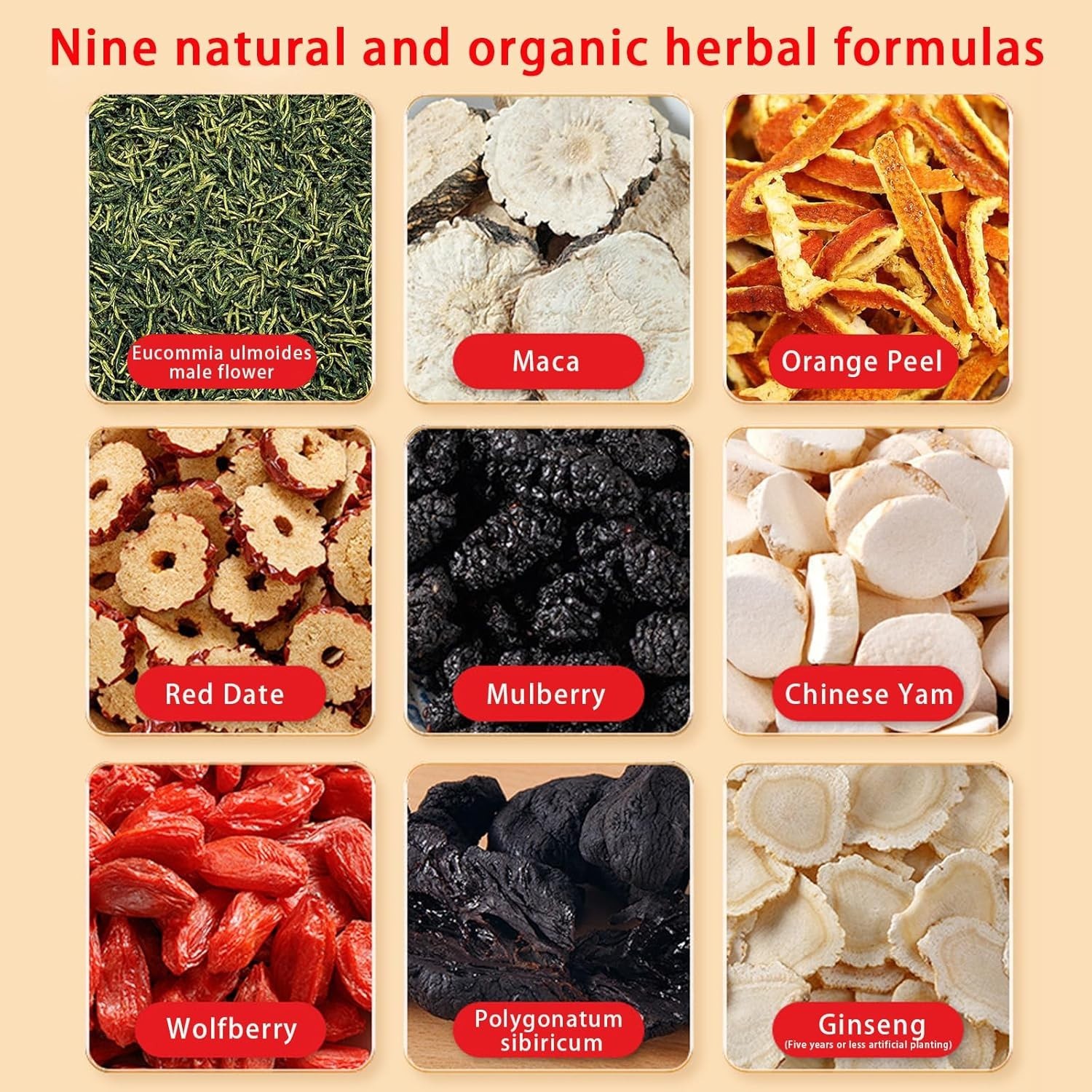 Kidney Tea – Ginseng and Wolfberry Tea, Ginseng Nine Treasure Tea, Men’s Health