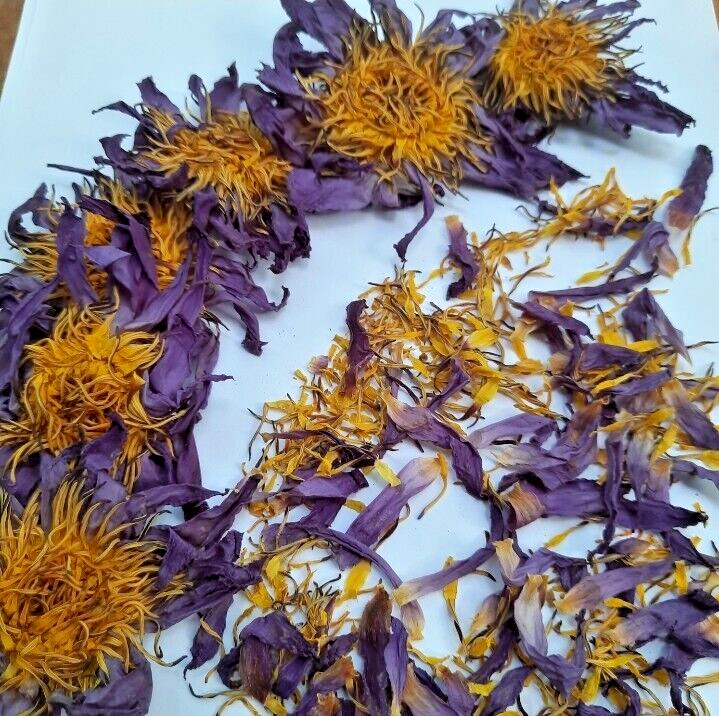 Dried Blue Lotus Flower Nymphaea Caerulea Natural Hand Picked Herbal Flowers ***