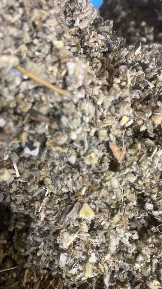 Mullein Leaf – Bulk Organic Herbal – 1 LB POUND