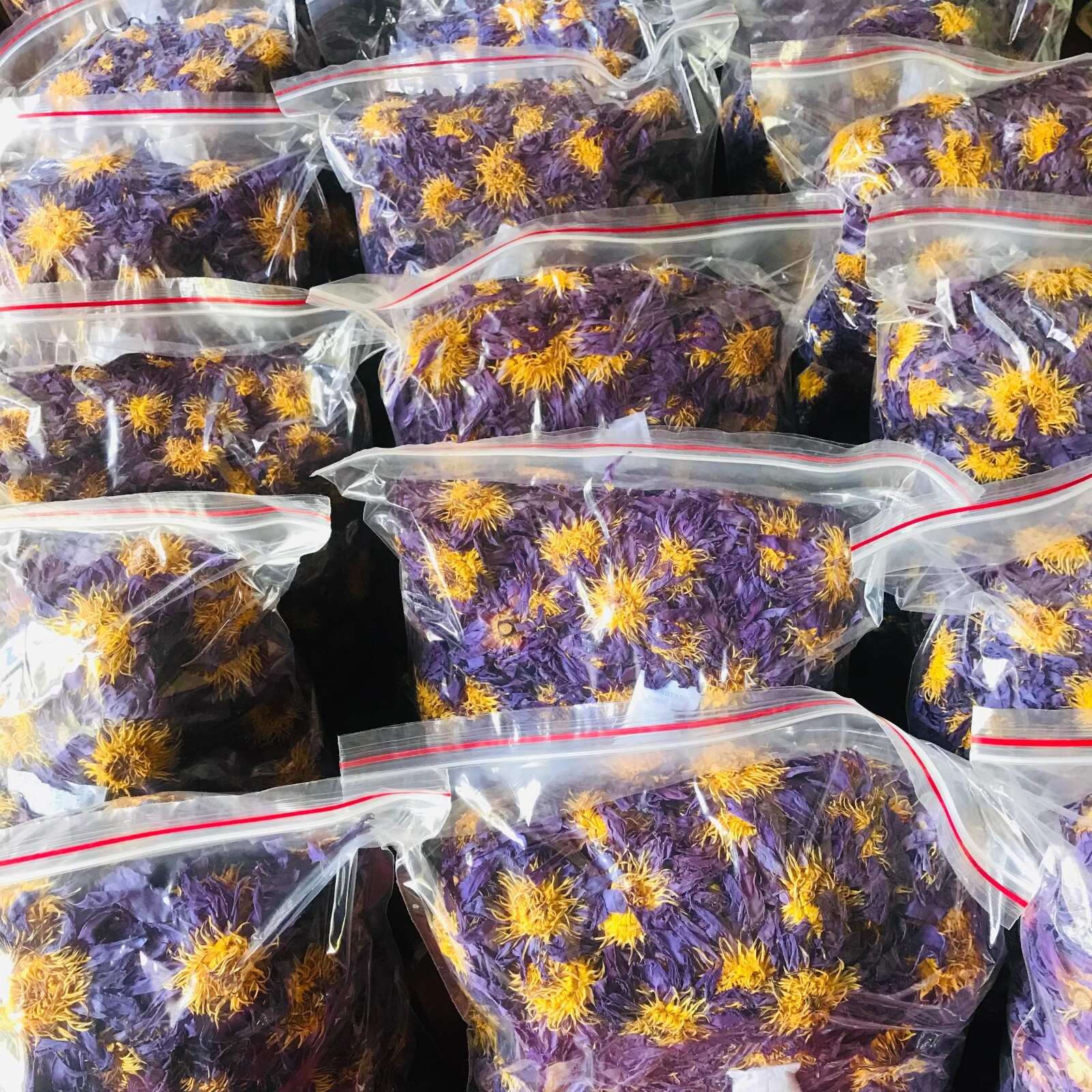 Dried Blue Lotus 100% Hand Picked Ceylon Organic Natural Flowers Egyptian Tea