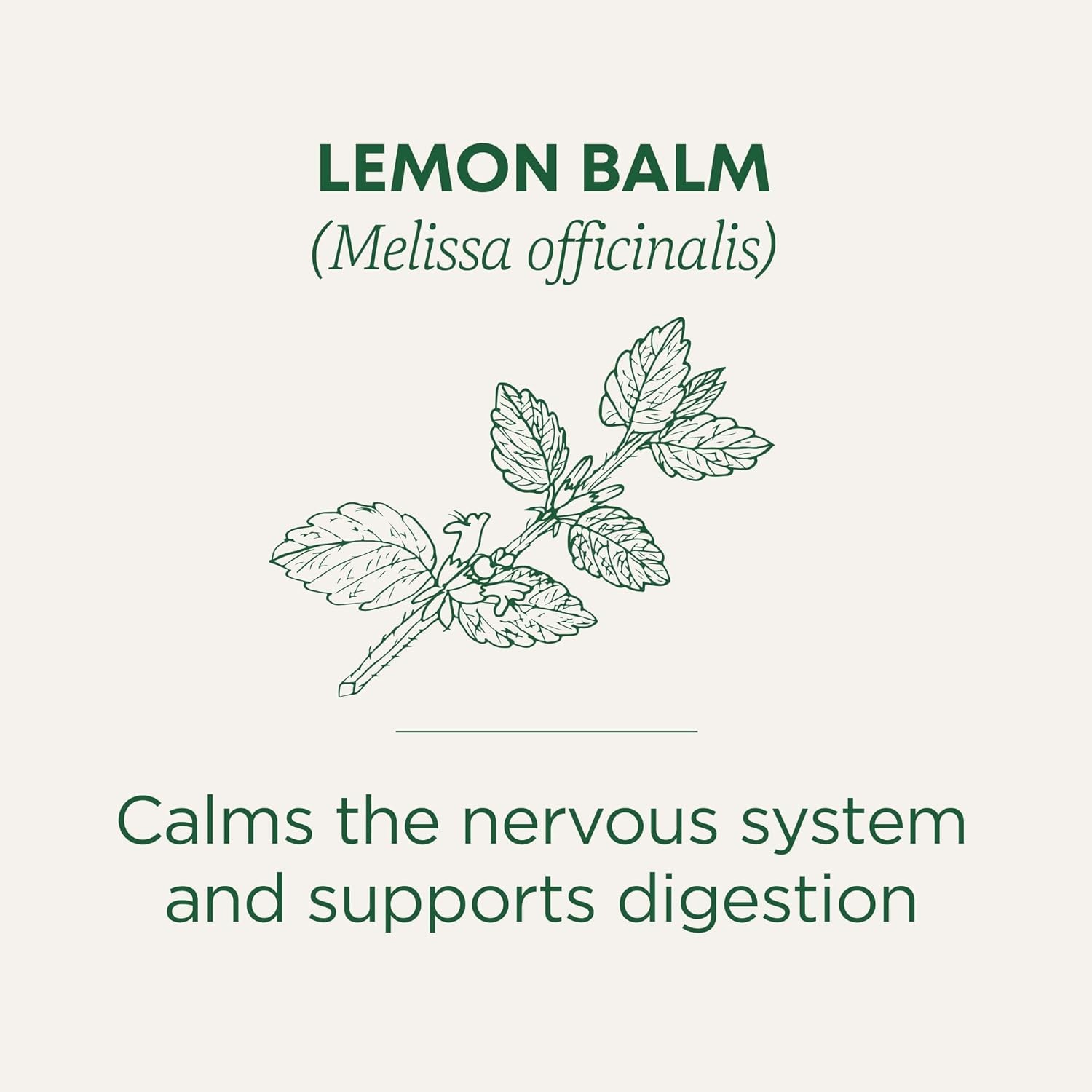 Traditional Medicinals Organic, Lemon Balm – Supports Stress Relief & Digestive