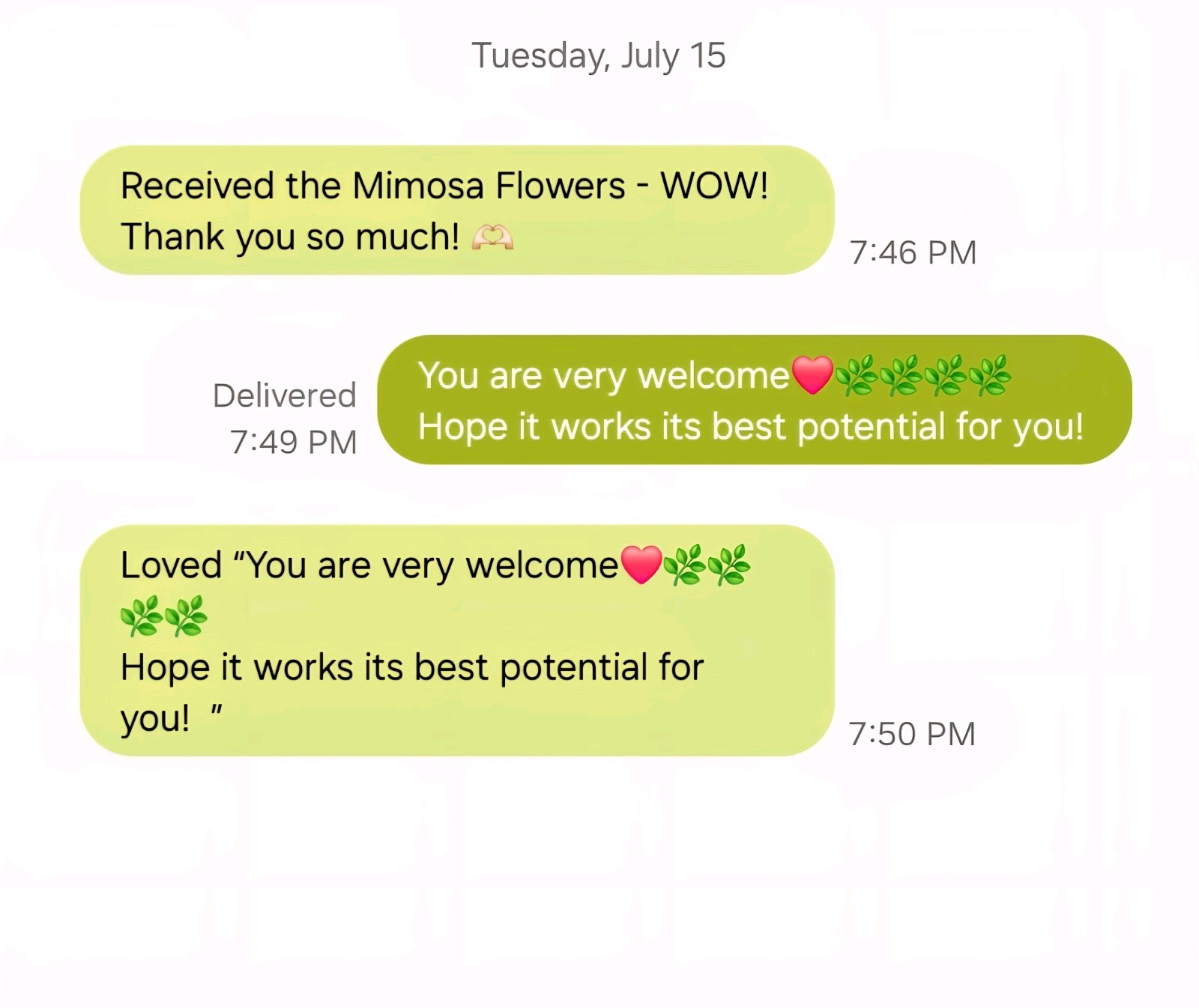 Dried Mimosa Silk Tree Flowers Edible Tea Herb Albizia Julibrissin Calming