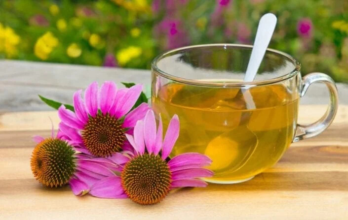 Echinacea Leaf – Echinacea purpurea Loose Leaf C/S, Domestically Harvested