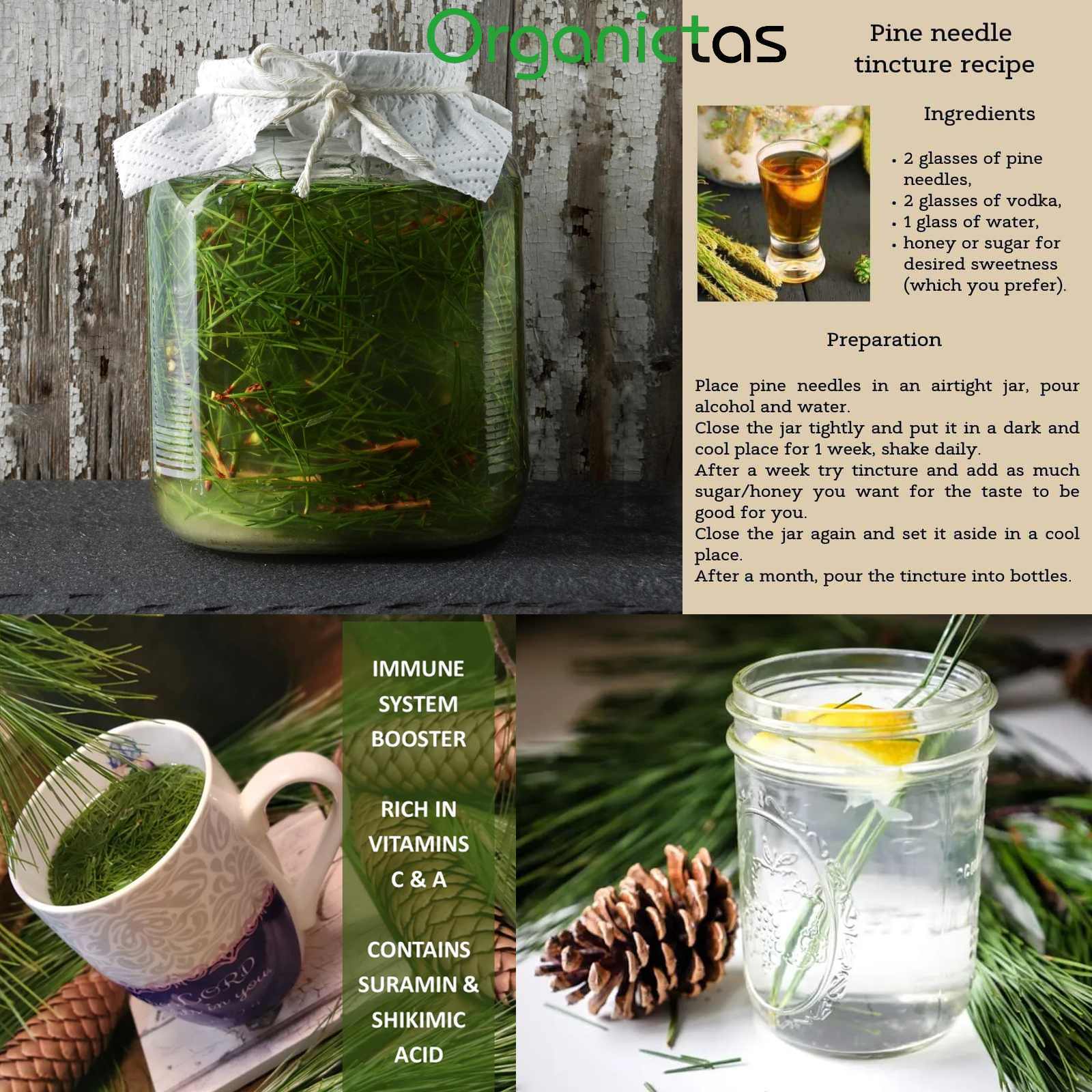 Pine Needle Tea 100g Natural Wild Picked Scots Scotch Pine Premium Quality