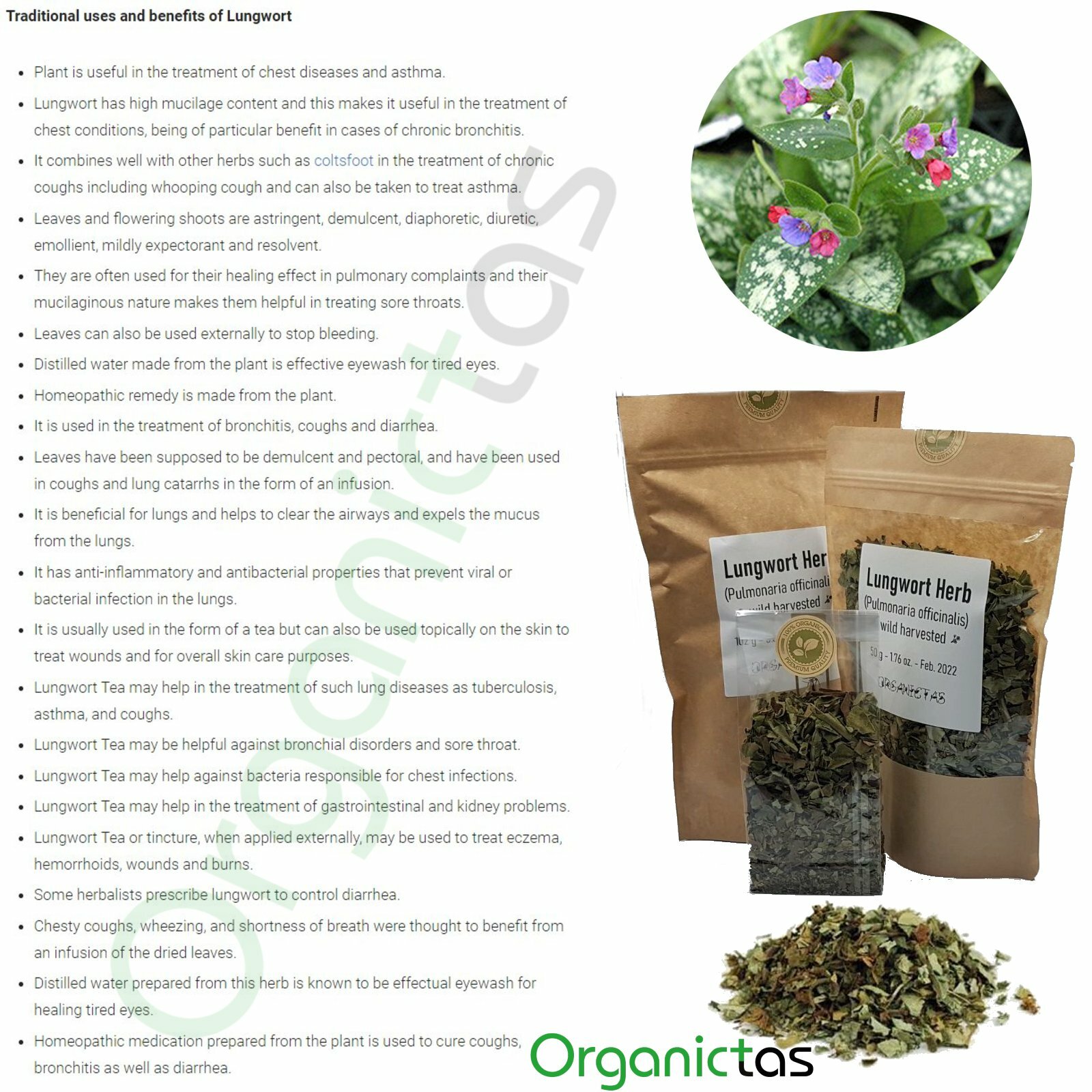 Lungwort Herb Tea Loose, for Lungs & Respiratory Tract Organic Pulmonaria offic.