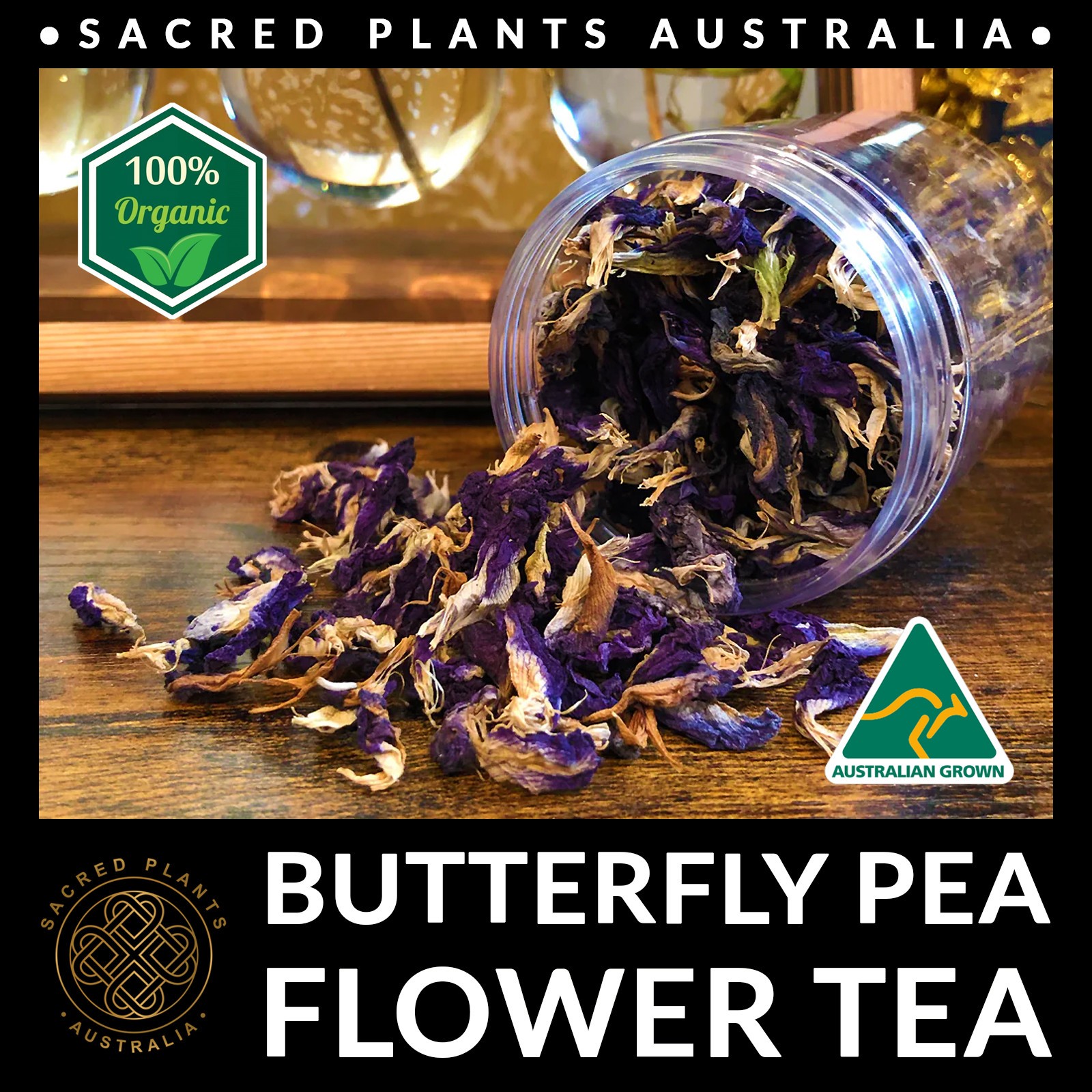 BUTTERFLY PEA Flower Tea 10g | Clitoria ternatea Loose Leaf Organic Natural