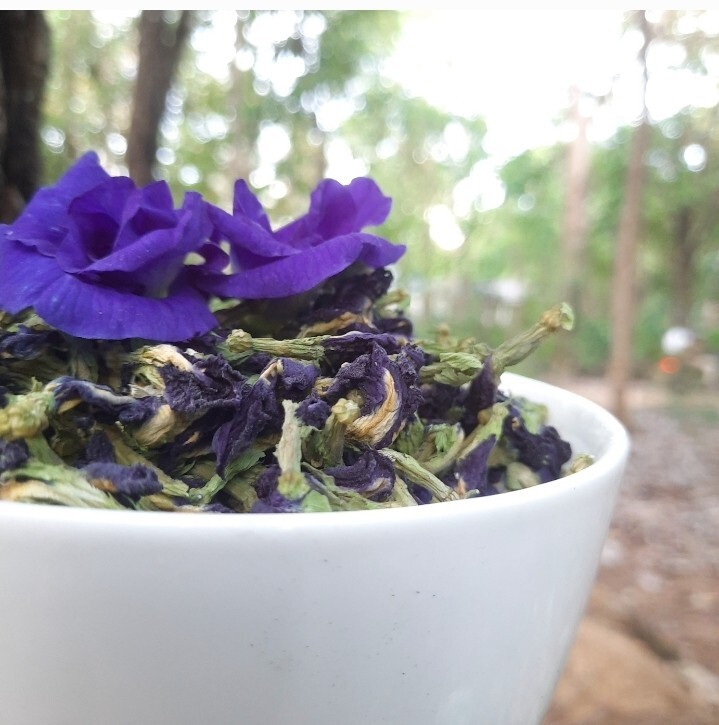 Blue Butterfly Pea Flowers Herb Tea Original CLITORIA TERNATEN 2500g + FREE 100g