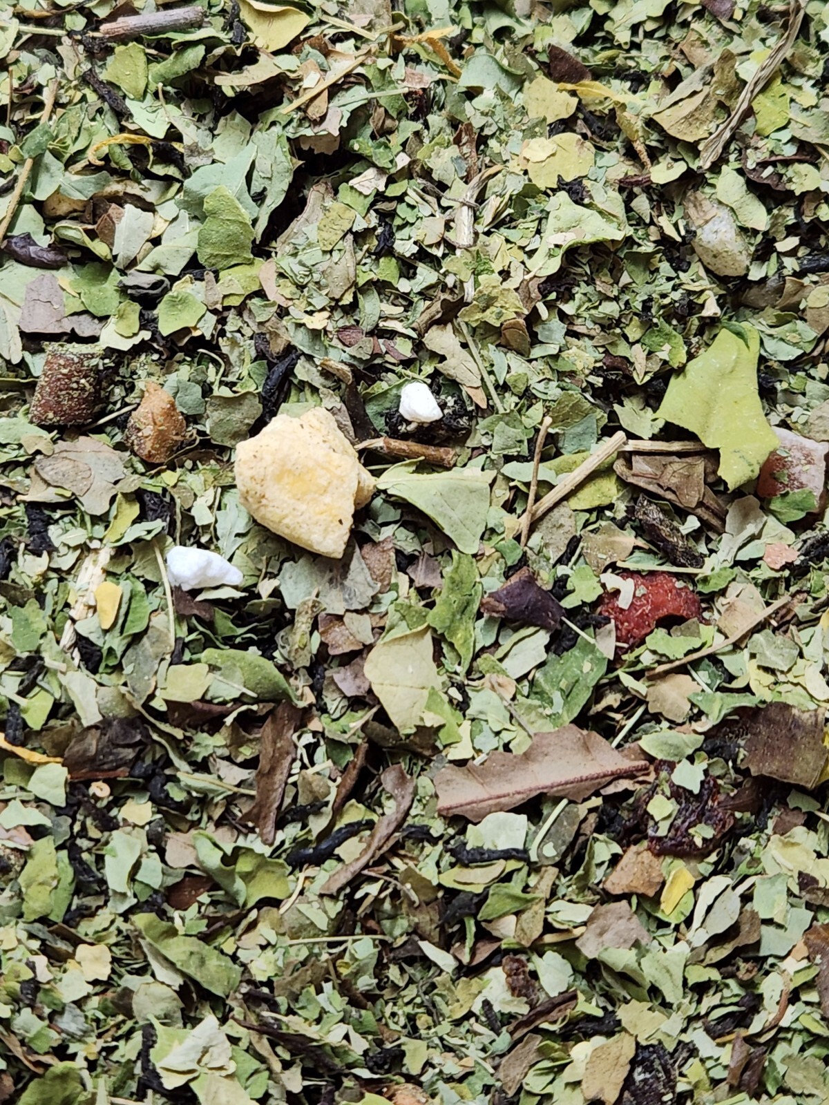 Moringa Oleifera Malunggay & Peach Lemon Tea Bags – Made Fresh On Demand!