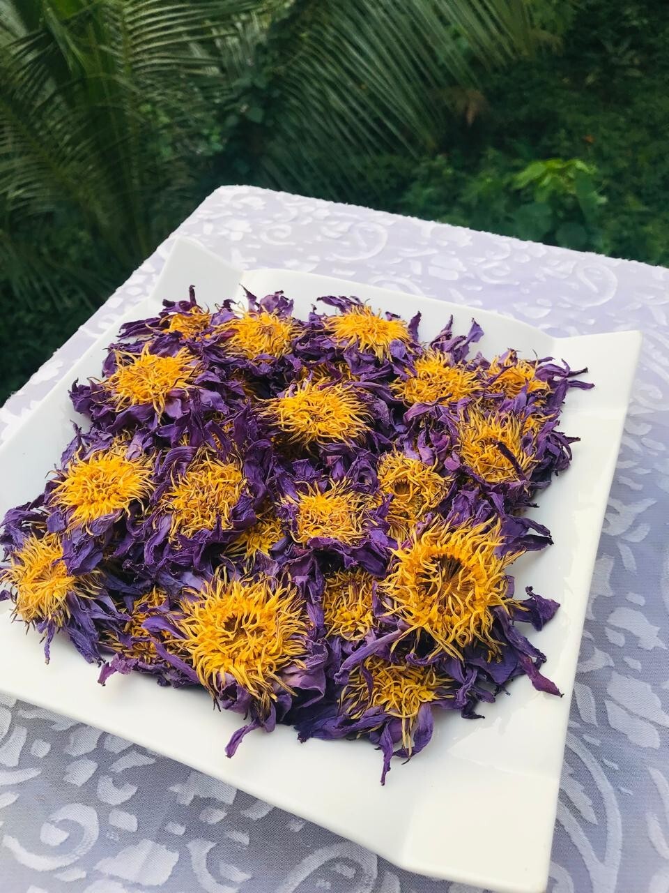 Blue Lotus 50g Sacred Egyptian Lily Dried Flowers Ceylon Organic Herbal Tea