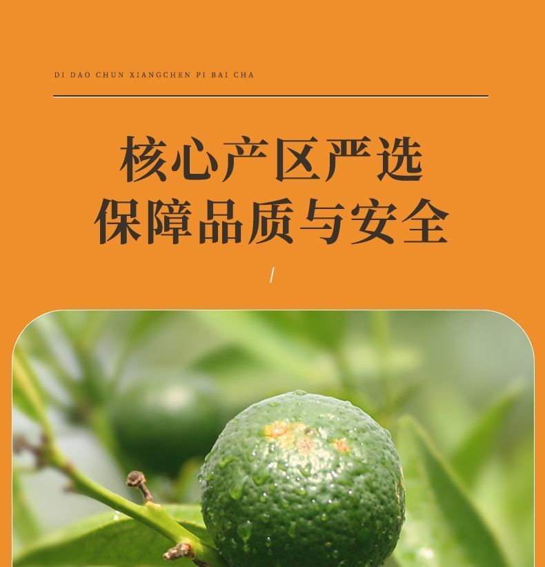 50pcs Chenpi Gongmei White Tea Cake Fuding Xinhui Aged Puerh Tea
