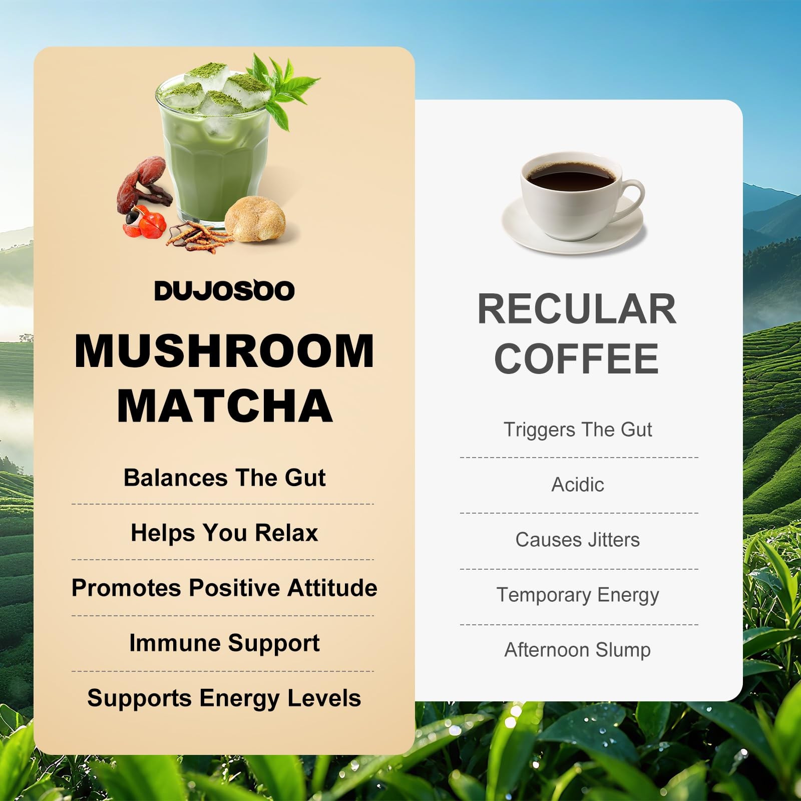 Mushroom Matcha, with 6 Adaptogenic Mushrooms and Ceremonial-Grade Matcha for…