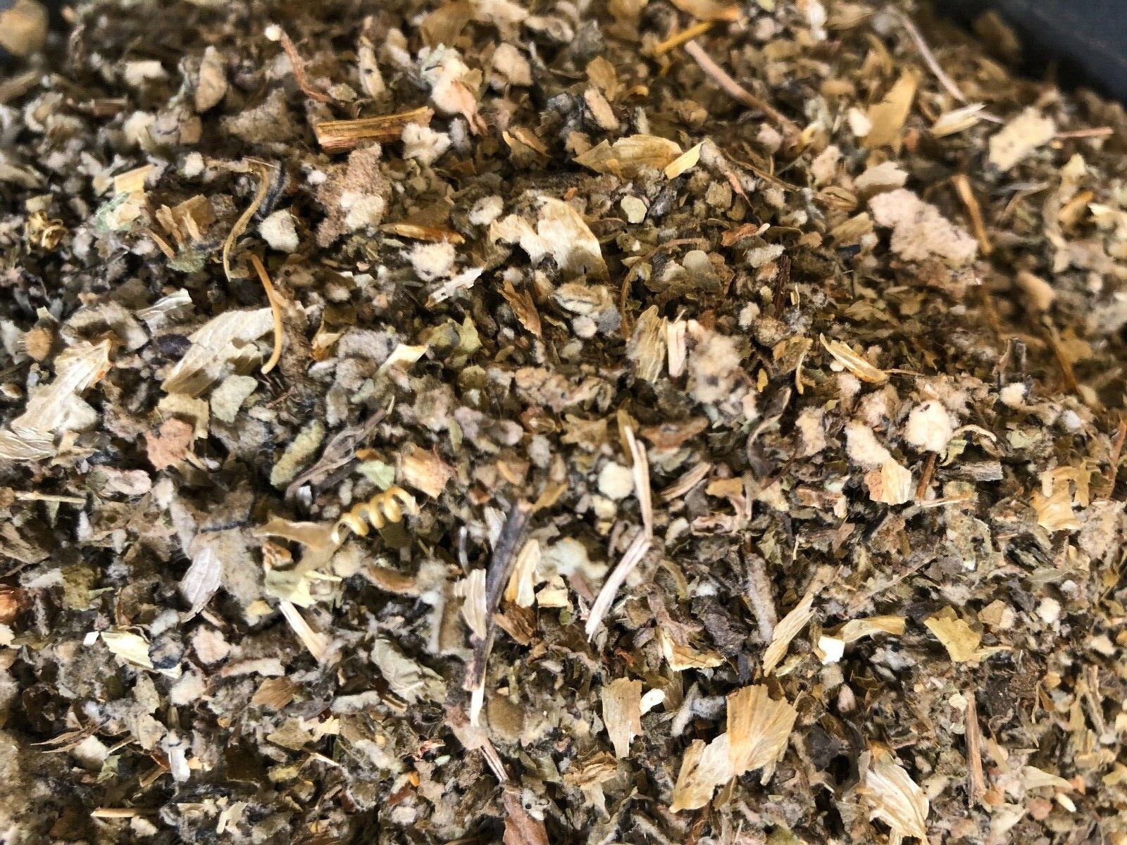 Lobelia Wild Lettuce Hops Lemon Balm CAPoppy Mullein Passionflower – No.39 Blend