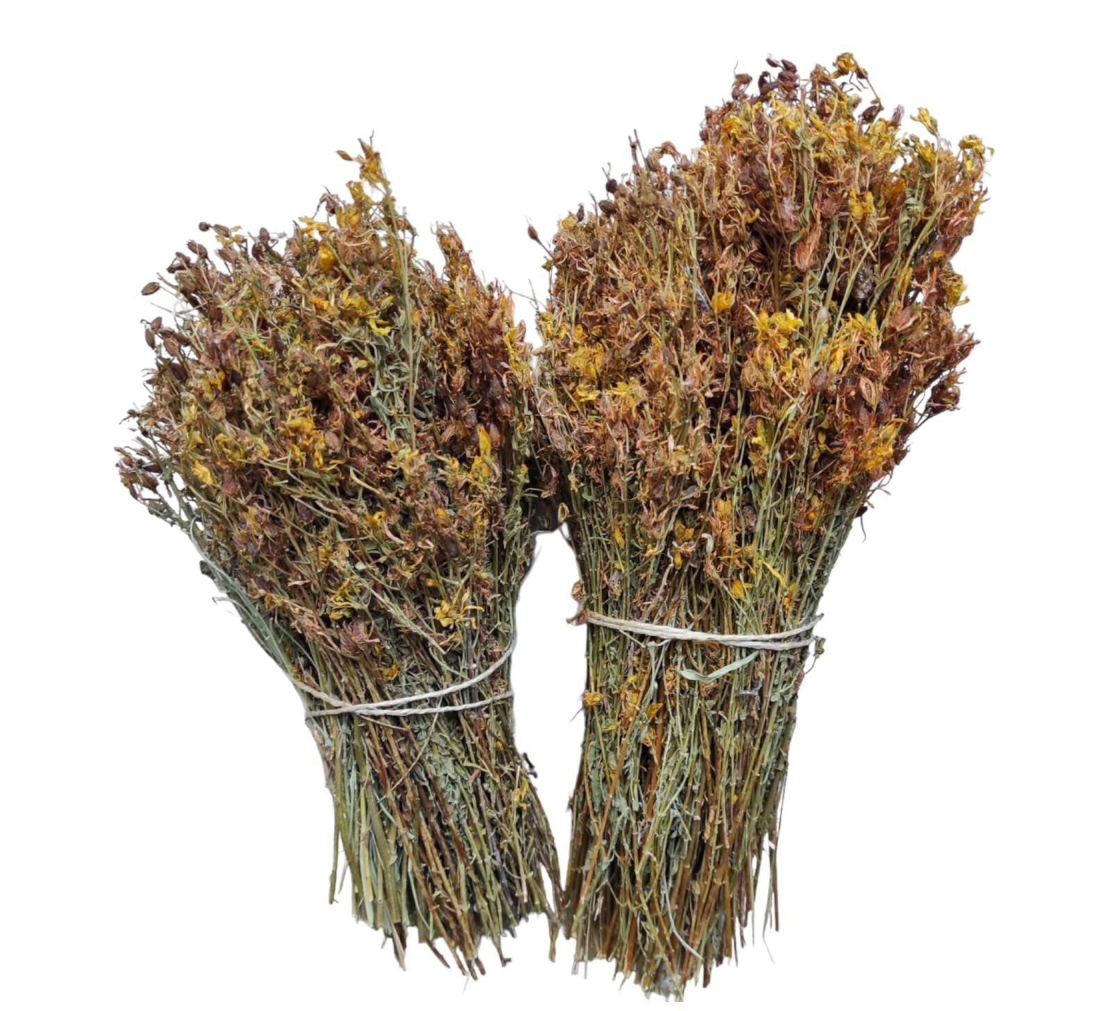 St. John’s Wort Herbal Tea whole Bunch | Hypericum Perforatum