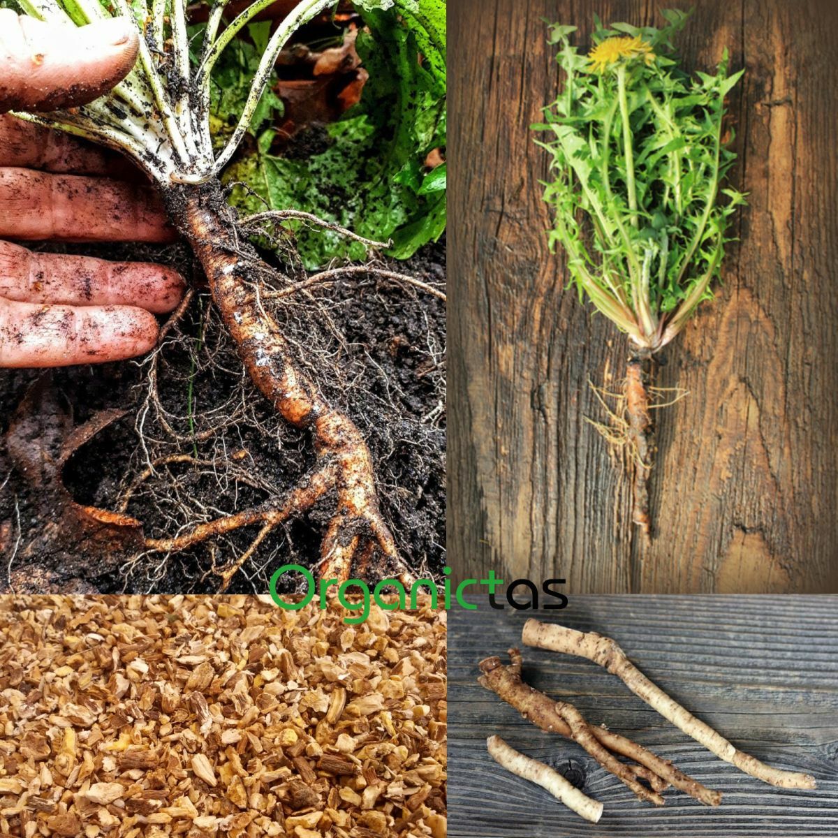 DANDELION ROOT Organic Premium Quality Tea Cut Taraxacum Officinalis 25-200g BIO