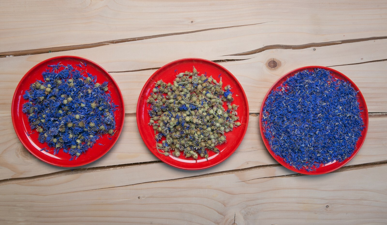 Cornflower Petals, White, Red, Purple, Blue European Natural 1-16 oz. Free Ship.