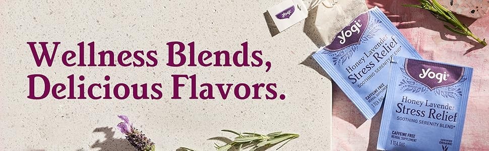 Tea Spiced Blackberry Focus – 16 Bags per Pack (4 Packs) – Organic Blackberry