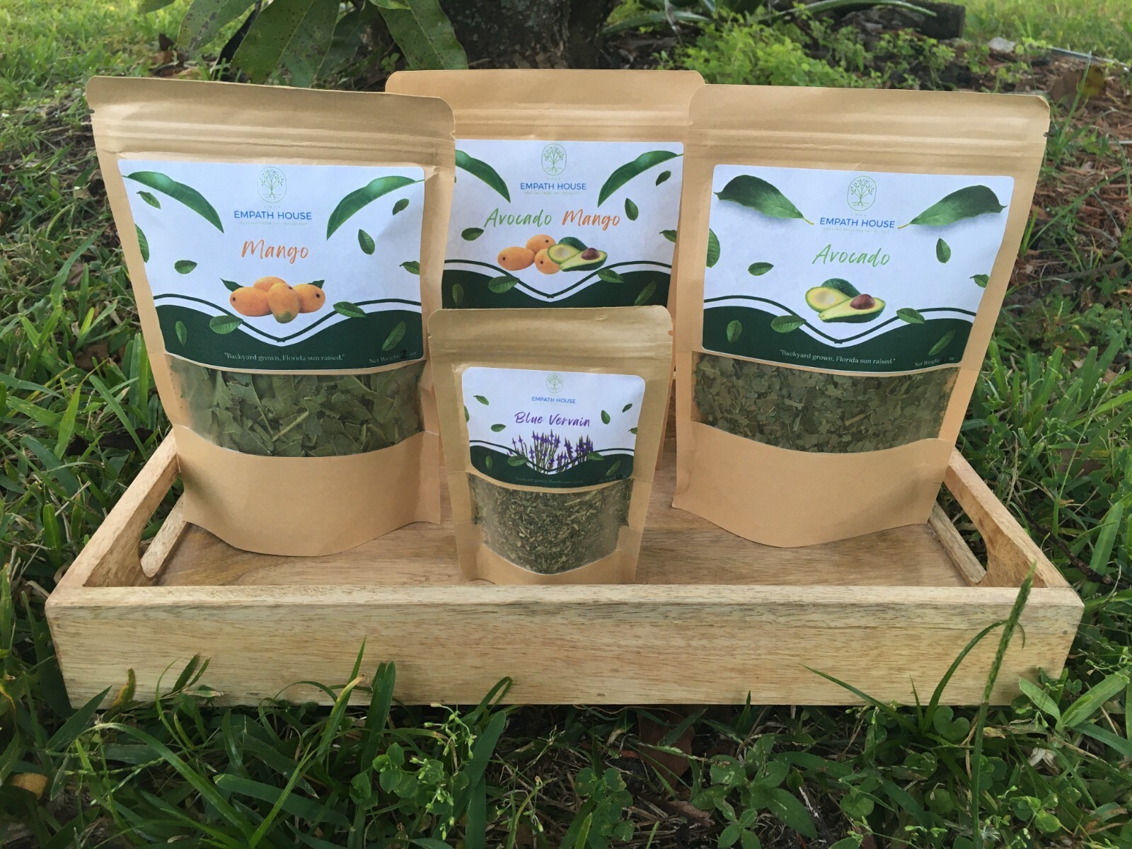 Mango Leaf Herbal Tea Dried 100% Organic Florida Grown USA