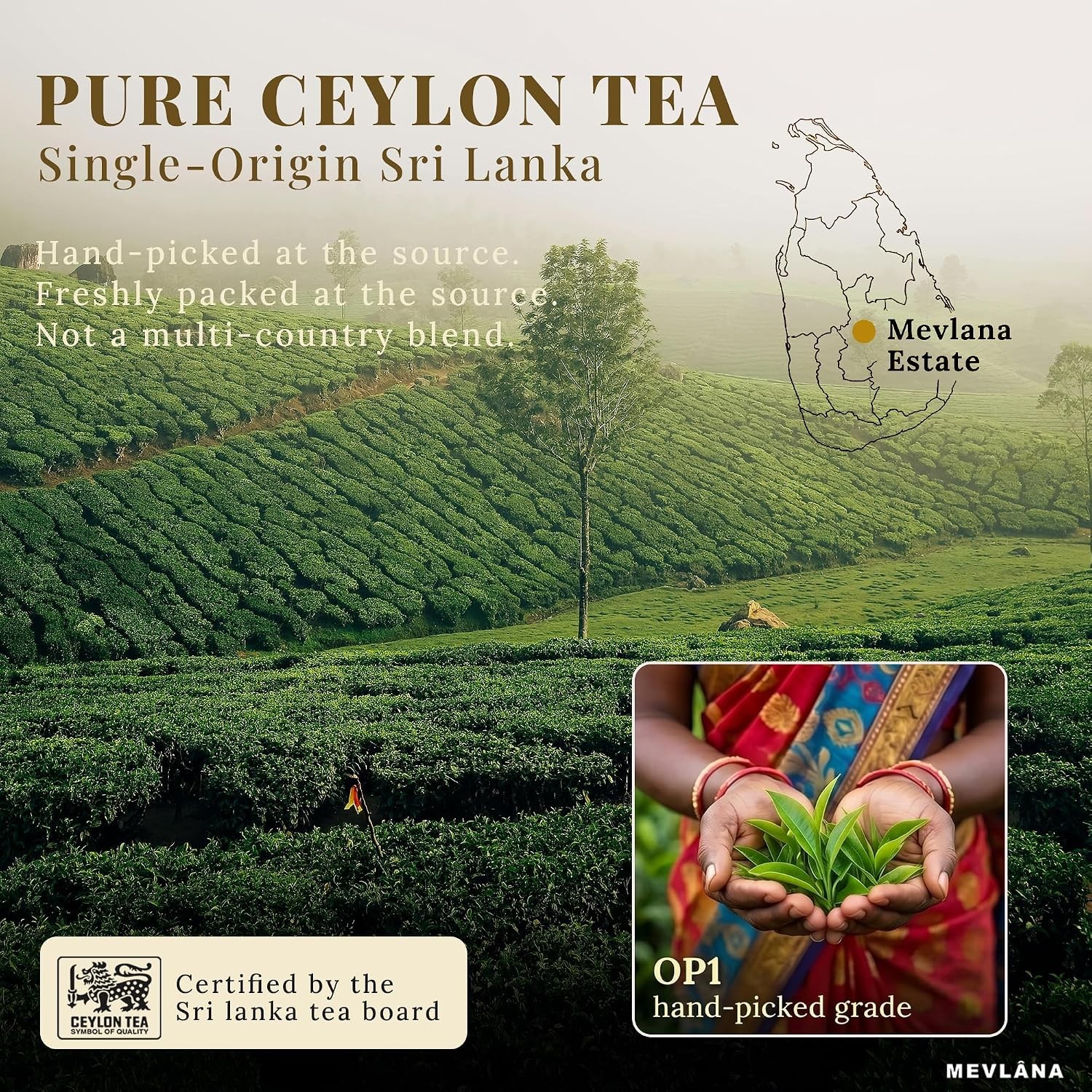 Mevlana Pure Ceylon Loose Leaf Black Tea, 100g / 3.5oz | Real Bergamot Oil, Hint