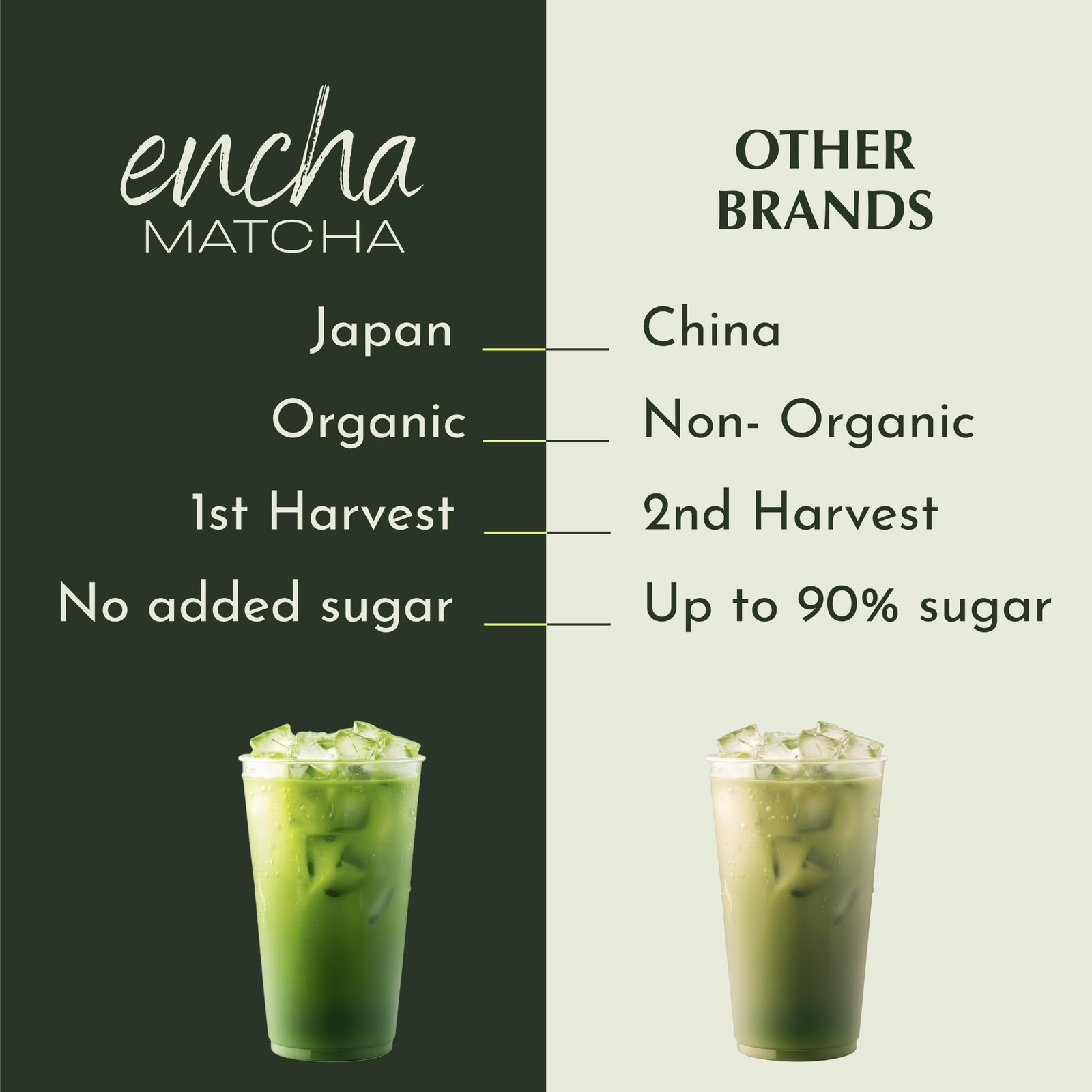 Encha Ceremonial Matcha Powder Organic Japanese Green Tea 60g Uji Japan