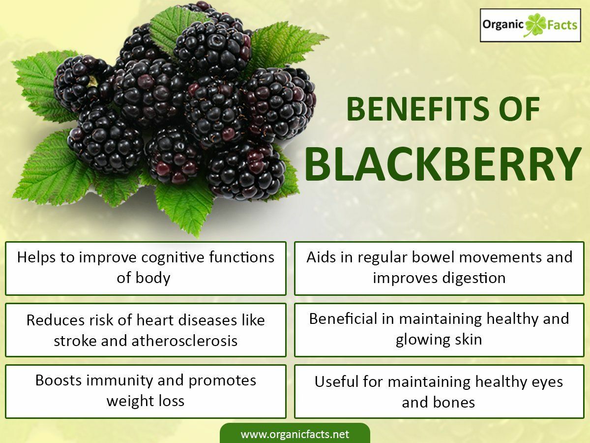 Blackberry Leaf TEA Organic Herbal Loose Dry LEAF 100% Natural NO GMO Homemade