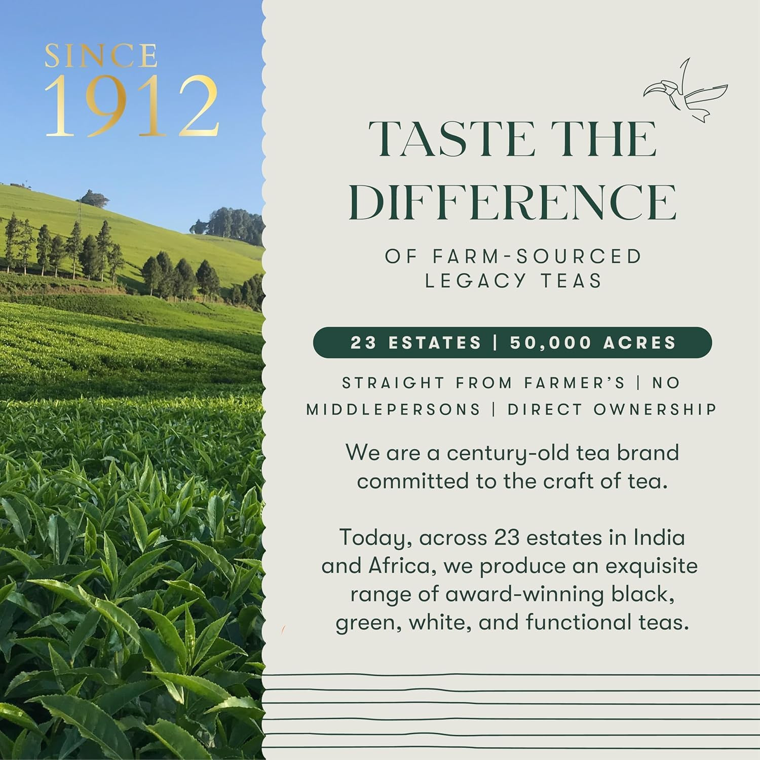 Estates – Valerian Dream – Organic Valerian Root Tea for Sleep – Loose Leaf – 50