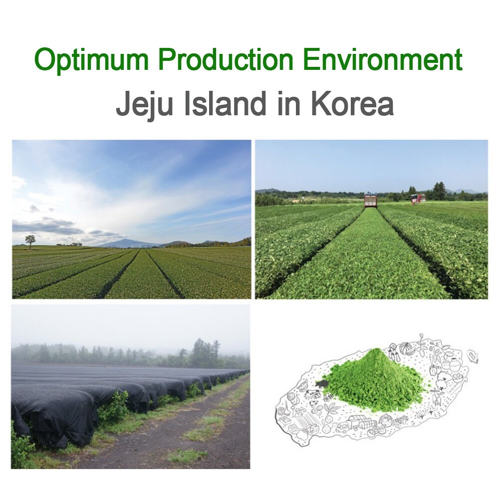 GOSSI KOREA JEJU MATCHA Powder 100g Rich Flavor Organic Green Tea Latte No Sugar