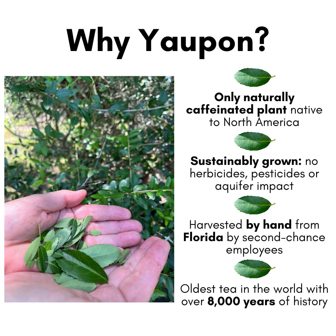 Rise Yaupon America’S Classic Yaupon Holly Tea, 20 Tea Bags, 1.06 Oz, Made with