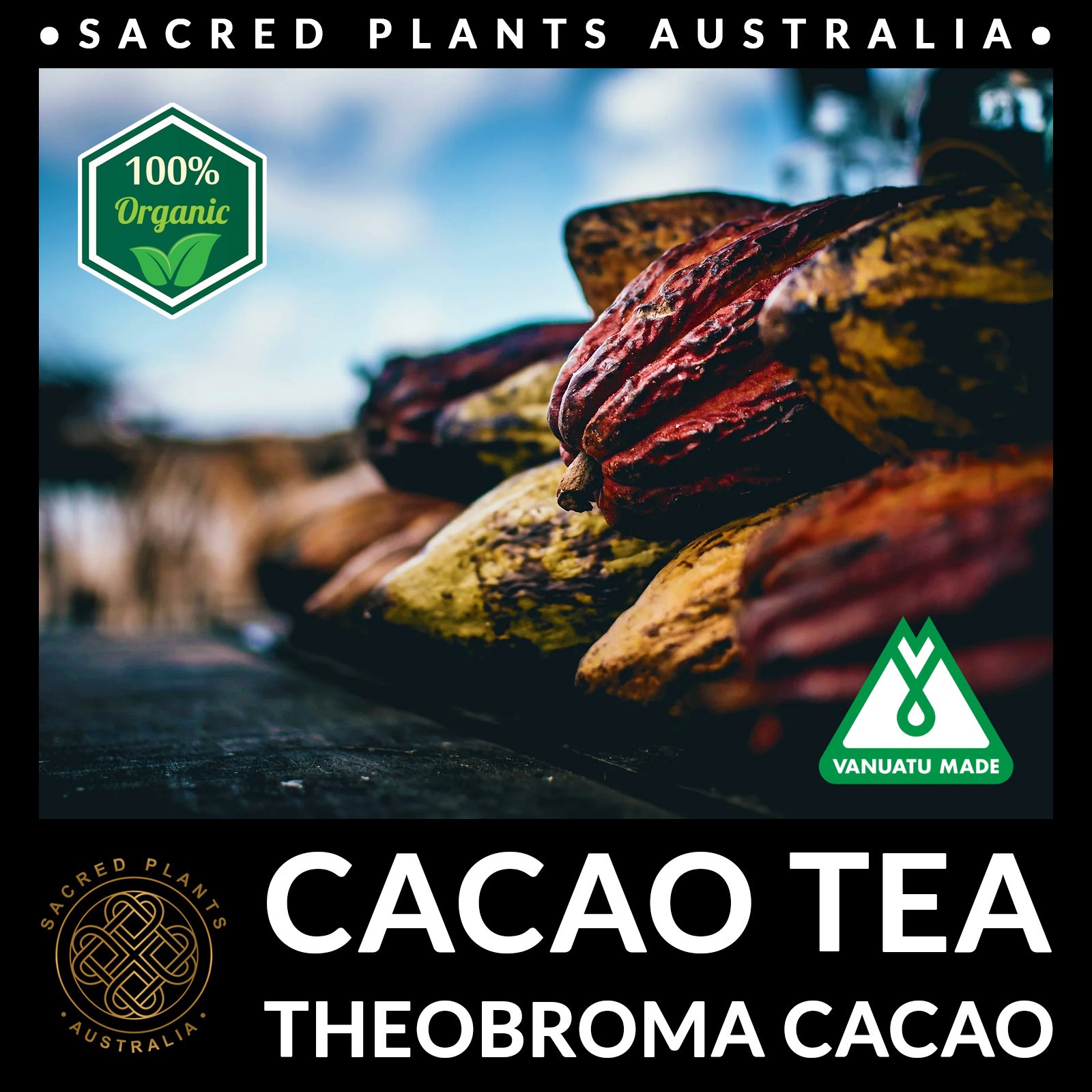 CACAO TEA 25g Organic Theobroma cacao Husks Chocolate Tea Vanuatu Sacred Shaman