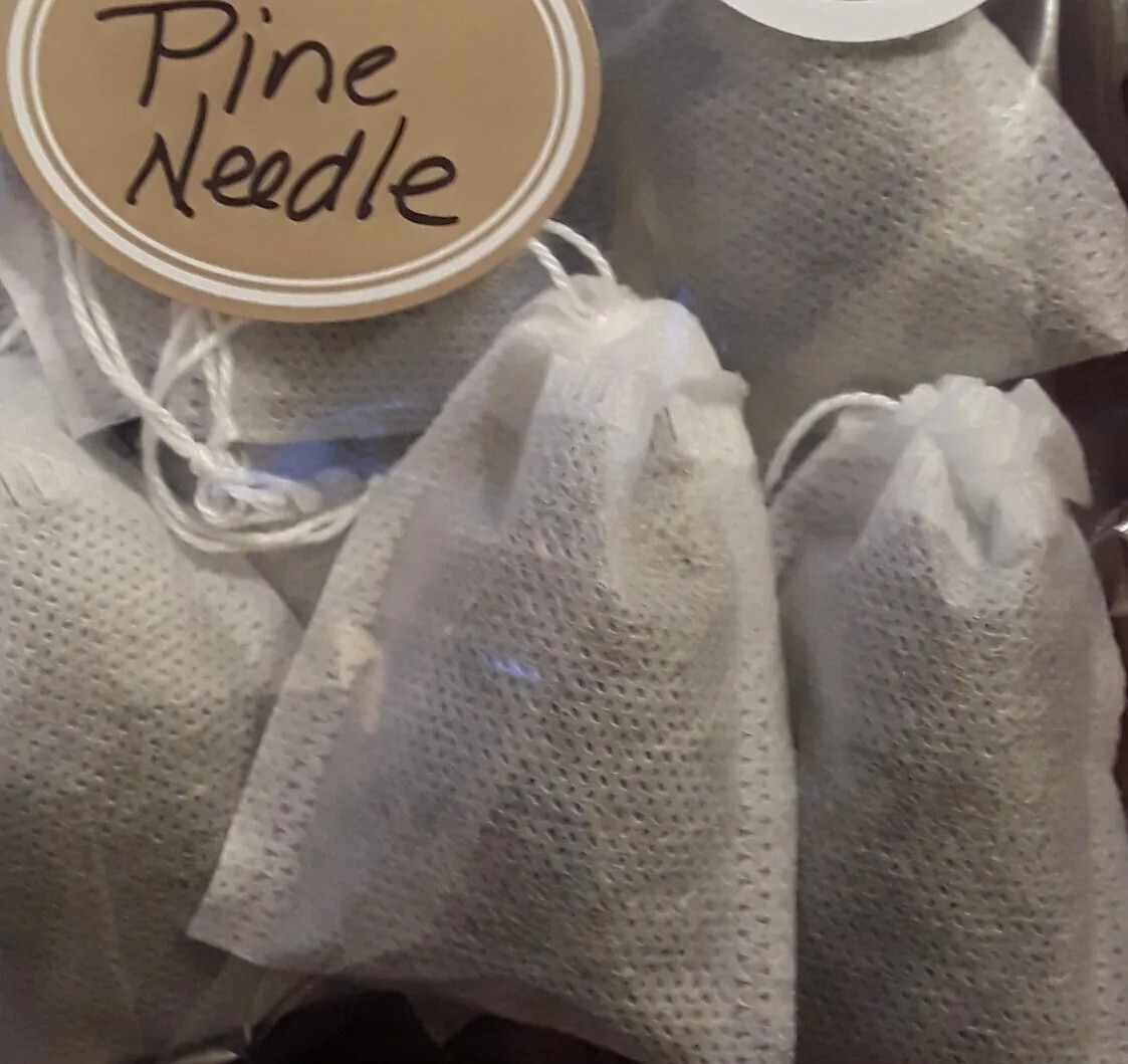 10 Pc LOT:BUY 3 GET 1 FREE Organic EASTERN WHITE Pine Needle Tea Bags Fresh Tree