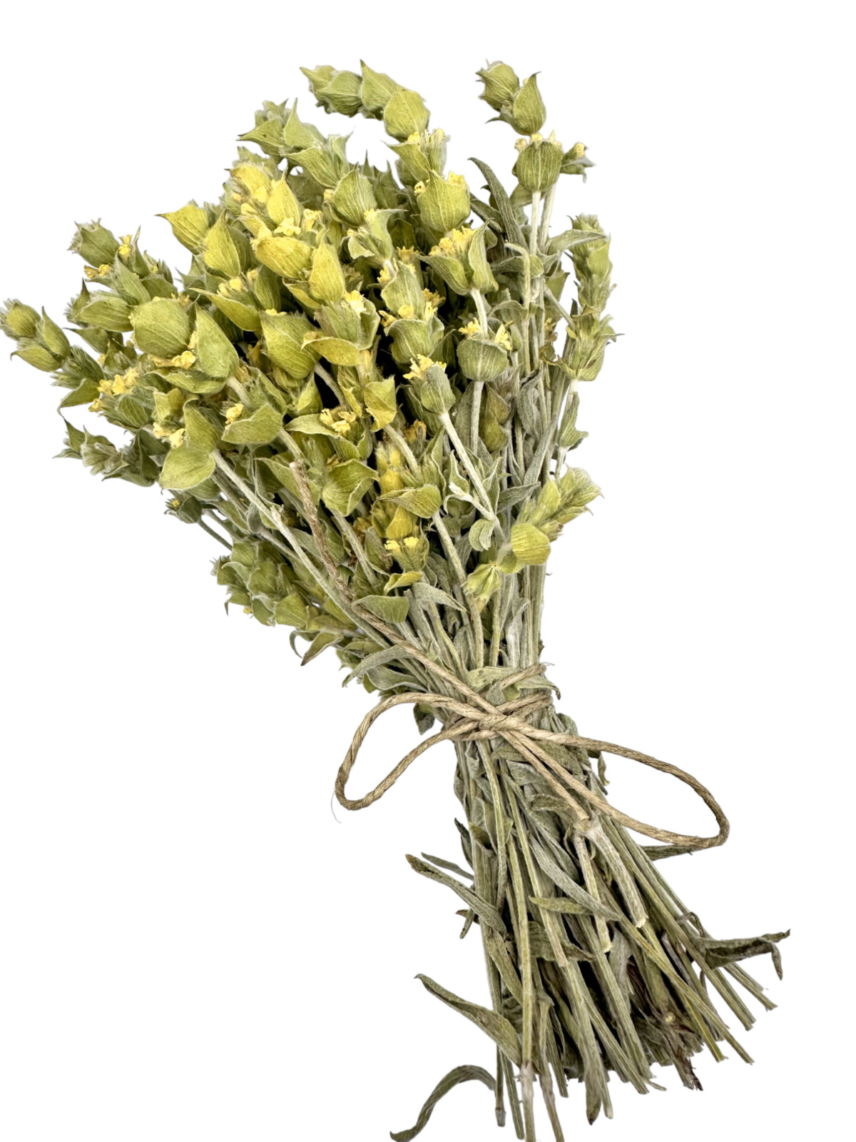 Organic Greek Mountain Tea Whole Loose Herbal Tea 20g-4.9kg Sideritis Raeseri