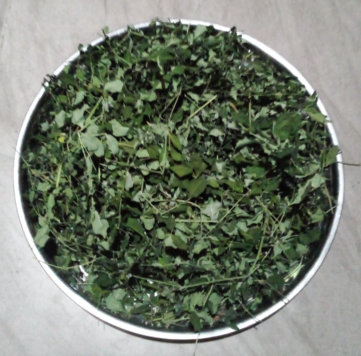 Ceylon Drumstick Leaves For Multi Vitamin